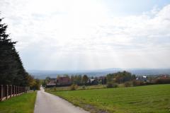 dsc_0810_1